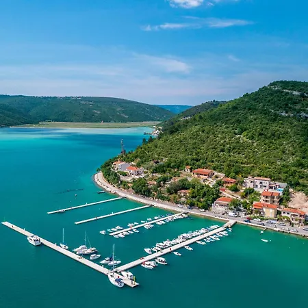 Camellia By Interhome Trget