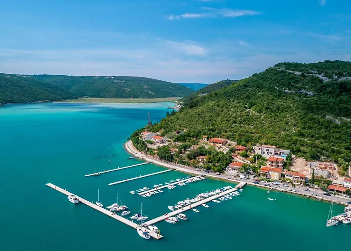 Camellia By Interhome Trget